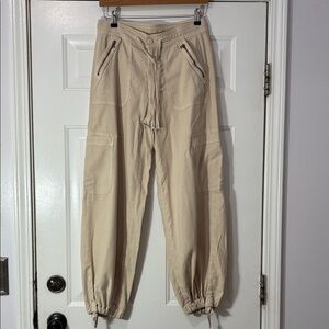 American Eagle Outfitter brand cargo pants Size 4